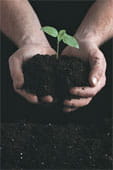 healthy soil makes more nutritious plants